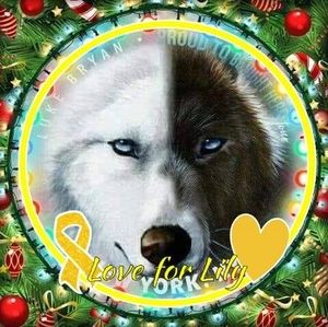 Meet your Posher, Mikey